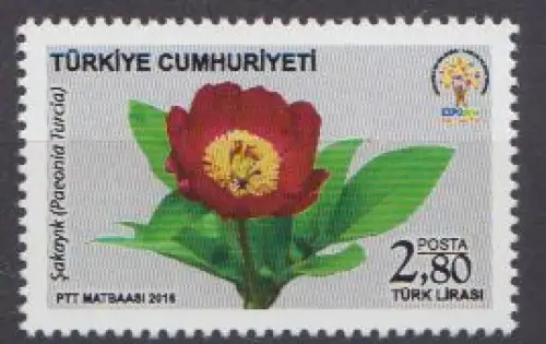 Türkei MiNr. 4252 Gartenbauausstellung EXPO Antalya, Pfingstrose (2,80)
