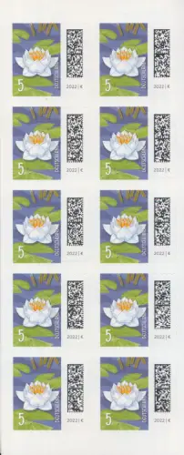 D,Bund Mi.Nr. 3651 (Folienblatt 113) Welt der Briefe, Weiße Seerose  skl.