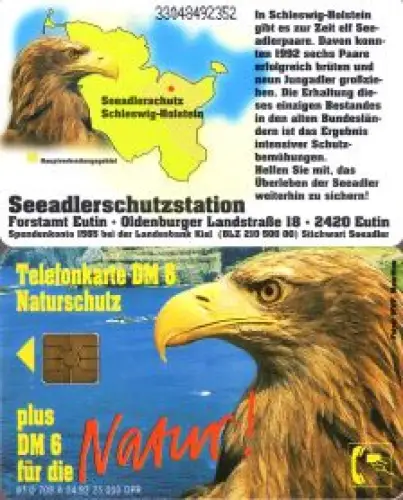 Telefonkarte O 708 A 04.93, Seeadler, Aufl. 25000