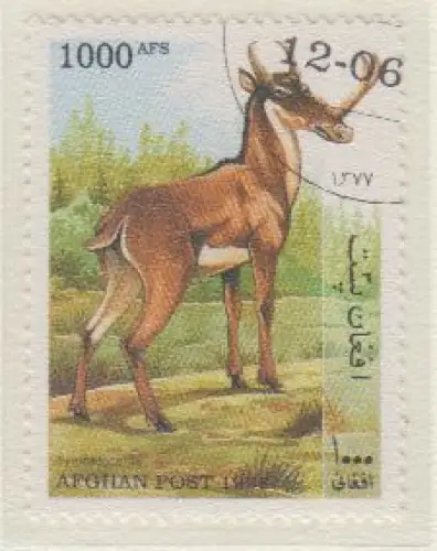 Afghanistan Mi.Nr. 1787 Prähistorische Säugetiere, Syntheloceras (1000)