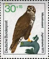 D,Bund Mi.Nr. 755 Jugend 73 Bussard (30+15)