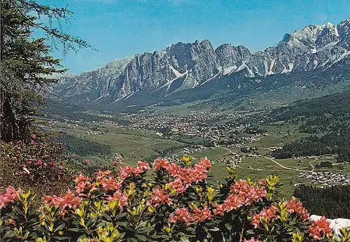 87 - Italien - Cortina D'Ampezzo , Gruppo del Pomagagon , Blumen - nicht gelaufen