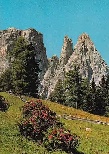 94 - Italien - Südtirol , Dolomiten , Dolomiti , Seiser Alm mit Schlern , Alpe Siusi con lo Sciliar - nicht gelaufen