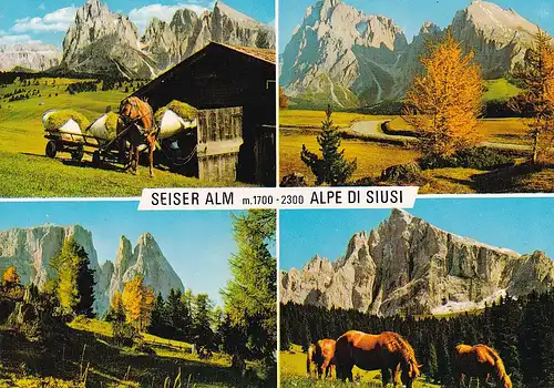 101 - Italien - Südtirol , Dolomiti , Dolomiten , Seiser Alm , Alpe di Siusi - nicht gelaufen