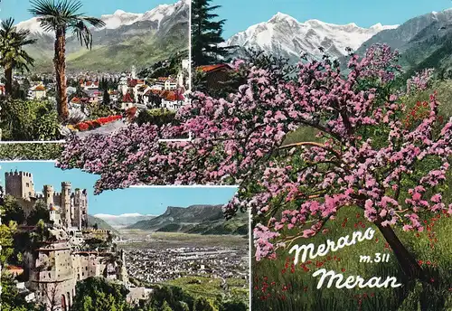 104 - Italien - Merano , Meran , Blütenbaum - nicht gelaufen