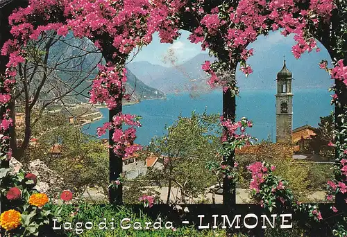 150 - Italien - Limone , Lago di Garda , Gardasee - gelaufen 1980
