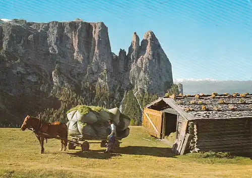 152 - Italien - Dolomiti , Dolomiten , Seiser Alm gegen den Schlern , Siusi , Pferdewagen - gelaufen 1972