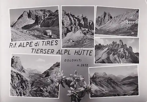 209 - Italien - Südtirol , Dolomiten , Alpe di Tires , Tierser Alpl Hütte , Mehrbildkarte - gelaufen 1967