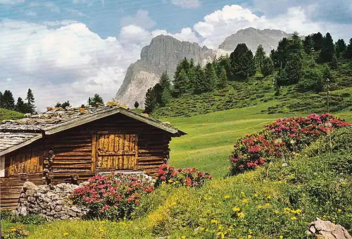 255 - Italien - Südtirol , Dolomiten , Seiser Alm , Suisi , Schlern , Langkofel , Sassolungo , Berghütte - nicht gelaufen 1983