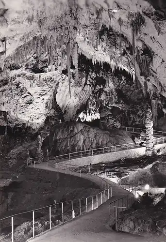 531 - Jugoslawien - Slowenien , Postojnska Jama , Höhlen von Postojna - gelaufen 1959