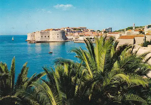 537 - Jugoslawien - Kroatien , Dubrovnik , Panorama , Palmen - gelaufen 1975