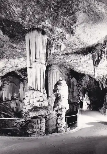 594 - Jugoslawien - Slowenien , Postojnska Jama , Höhlen von Postojna - nicht gelaufen 1961