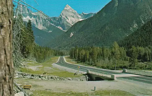 828 - Kanada - Canada , Selkirk Mountains , British Columbia , Rogers Pass , Straße - gelaufen 1963