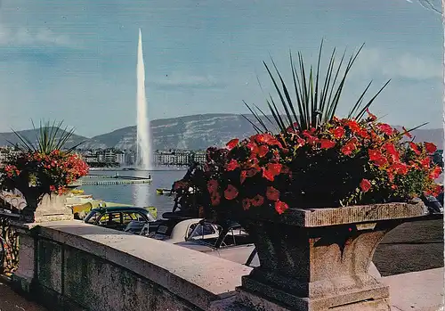 883 - Schweiz - Suisse , Switzerland , Genf , Springbrunnen , Blumen - gelaufen 1964