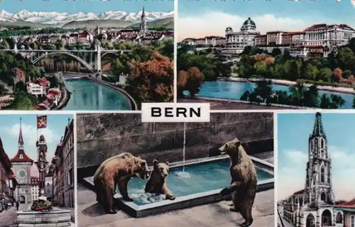 916 - Schweiz - Suisse , Switzerland , Bern , Mehrbildkarte , Tiere - gelaufen 1956