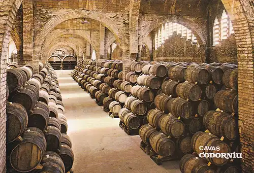 1076 - Spanien - Cavas Codorniu , Una Bodega , Weinkeller - gelaufen