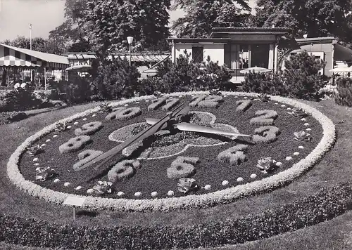 1138 - Schweiz - Suisse , Switzerland , Genf , L'horloge fleurine , Blumenuhr , Jardin Anglais Park - gelaufen 1963
