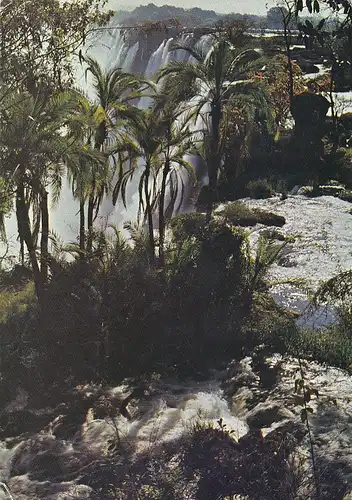 1335 - Rhodesien - Rhodesia , Victoria Falls , view from Eastern Cataract , Palmen - gelaufen 1977