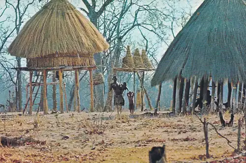 1336 - Rhodesien - Rhodesia , Batonka Village , Kariba District , Ureinwohner , Eingeborene - gelaufen 1977