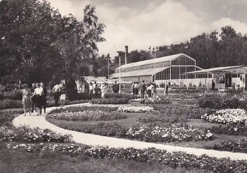 1377 - Tschechoslowakei - Czechoslovakia , Czech , Olomouc , Olmütz , Celostatni vystava okrasneho zahradnictvi , Gartenbauausstellung - gelaufen