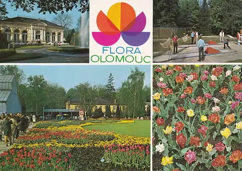 1379 - Tschechoslowakei - Czechoslovakia , Czech , Olomouc , Olmütz , Flora , Blumen - gelaufen 1973