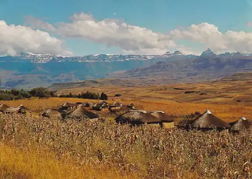 1437 - Südafrika - South Africa , Drakensberg Scenery , Natal , Kraals - gelaufen 1978
