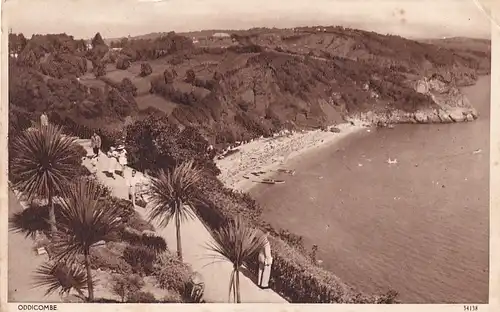 1457 - Großbritannien - Devon , Oddicombe Beach , Strand , Palmen - gelaufen 1951