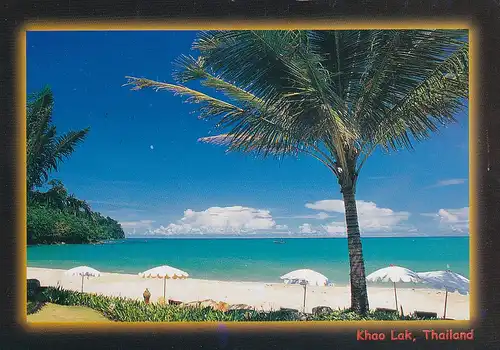 1587 - Thailand - Khao Lak , Strand , Palme - gelaufen