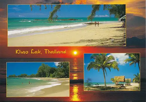 1592 - Thailand - Khao Lak , Strand , Palme - gelaufen