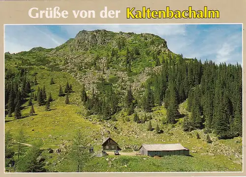 1626 - Österreich - Austria , Steiermark , Kaltenbachalm , Sölktal , Familie Stangl - nicht gelaufen