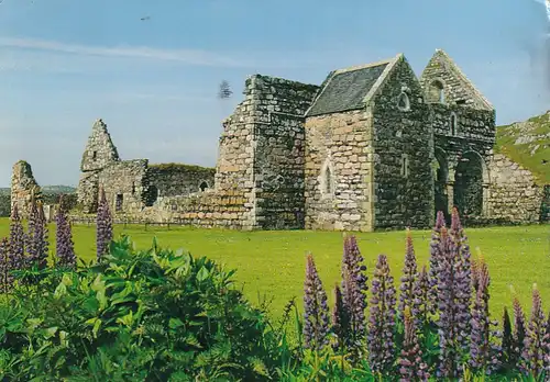 1782 - Schottland - Scotland , Isle of Iona , Ruins of the Benedictine Nunnery , Blumen , Ruine - gelaufen 1993