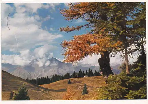 1793 - Italien - Südtirol , Meran , Merano , Am Vigiljoch - gelaufen 1973