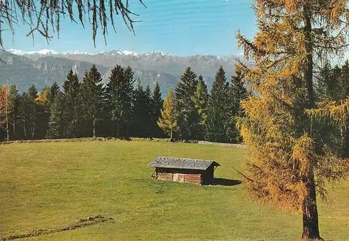 1810 - Italien - Südtirol , Prato a Redagno , dell'Ortles , Bergwiese in Radein , Ortlergruppe - gelaufen 1976