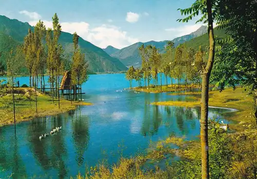 1818 - Italien - Lago di Ledro , Ledrosee , Angolo pittoresco - gelaufen