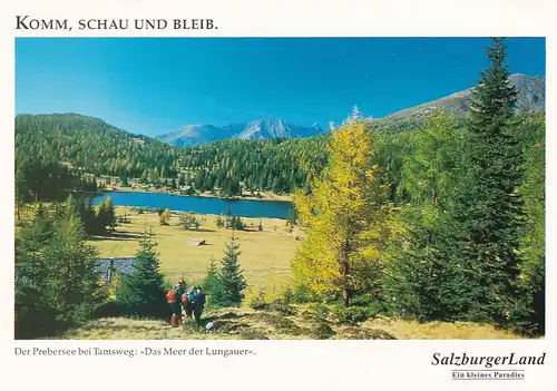 1828 - Österreich - Salzburg , Prebersee bei Tamsweg , Das Meer der Lungauer - nicht gelaufen