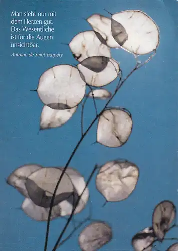 1852 - Österreich - Man sieht nur mit dem Herzen gut , das wesentliche ist für die Augen unsichtbar , Antoine de Saint Exupery - gelaufen 1986