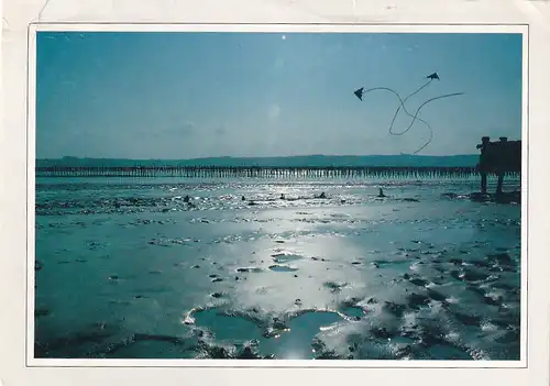 1904 - Spanien - Spain , Vom Winde verweht , Strand , Küste - gelaufen 1993