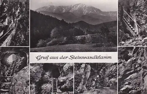 1923 - Österreich - Niederösterreich , Steinwandklamm , Mehrbildkarte - nicht gelaufen