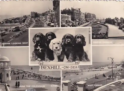 2033 - Großbritanien - Great Britain , Bexhill on Sea , Marina Gardens , Colonnade , West Parade , Mehrbildkarte - gelaufen 1960