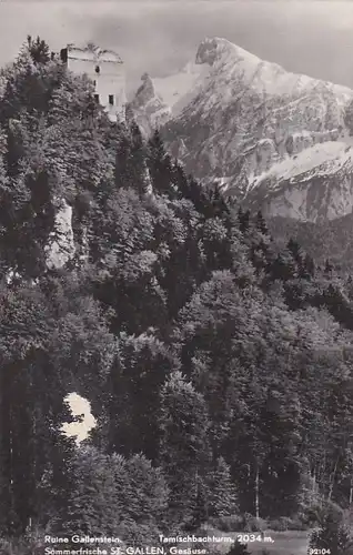 2042 - Österreich - Steiermark , St. Gallen , Gesäuse , Ruine Gallenstein , Tamischbachturm , Sommerfrische - gelaufen 1968