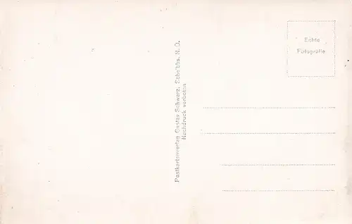 2045 - Österreich - Niederösterreich , Scheibbs , Stadtpfarrkirche , Innenansicht - nicht gelaufen