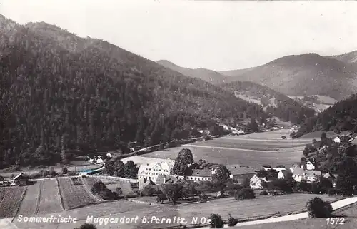 2138 - Österreich - Niederösterreich , Muggendorf bei Pernitz , Sommerfrische - gelaufen 1963