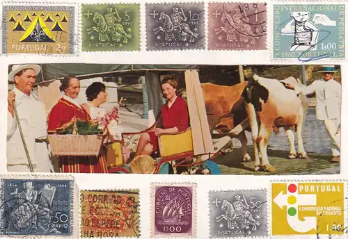2171 - Portugal - Madeira , Szene , Kutsche , Bild wurde auf eine leere Karte geklebt - gelaufen
