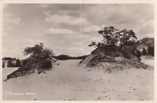 2237 - Holland - Drunense Duinen - gelaufen