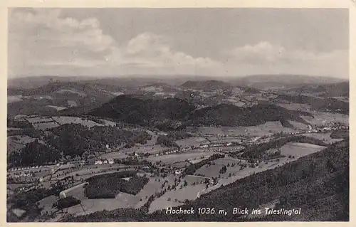 2361 - Österreich - Niederösterreich , Hocheck , Blick ins Triestingtal - gelaufen 1955