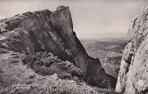2514 - Österreich - Schafberg , Aussichtsberg im Salzkammergut - gelaufen
