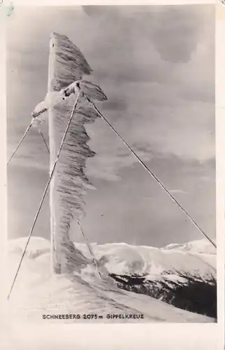 2568 - Österreich - Niederösterreich , Schneeberg , Gipfelkreuz - nicht gelaufen