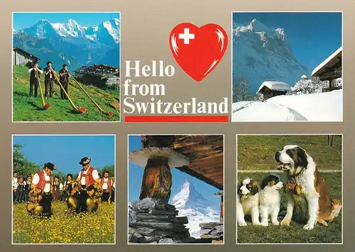 2718 - Schweiz - Mehrbildkarte , Alphorn , Bernhardiner - nicht gelaufen