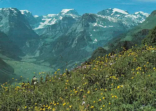 2725 - Schweiz - Glarus , Braunwald , Blich auf Tödi , Gemsfairenstock , Clariden - gelaufen 1980