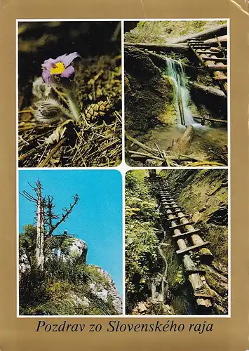 2758 - Slowakei - Poniklec slovensky , Tiesnava Vysny Kysel , Havrania Skala , Klastorska roklina - gelaufen 1983